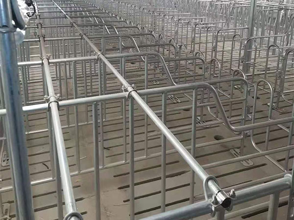 存欄500頭母豬養(yǎng)豬場(chǎng)建設(shè)方案