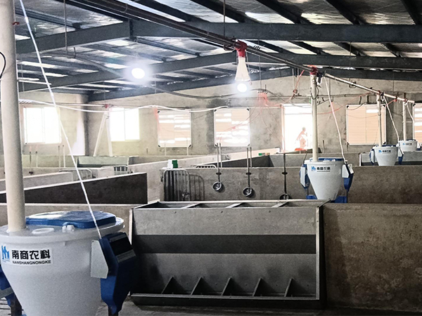 選購(gòu)自動(dòng)化養(yǎng)豬食槽，哪個(gè)品牌供應(yīng)商比較好？