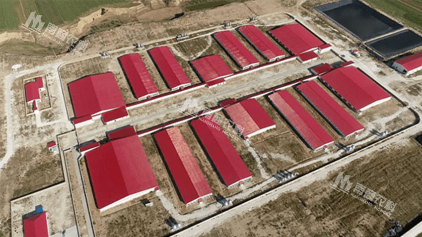 山西大同天鎮(zhèn)原種豬繁育項目