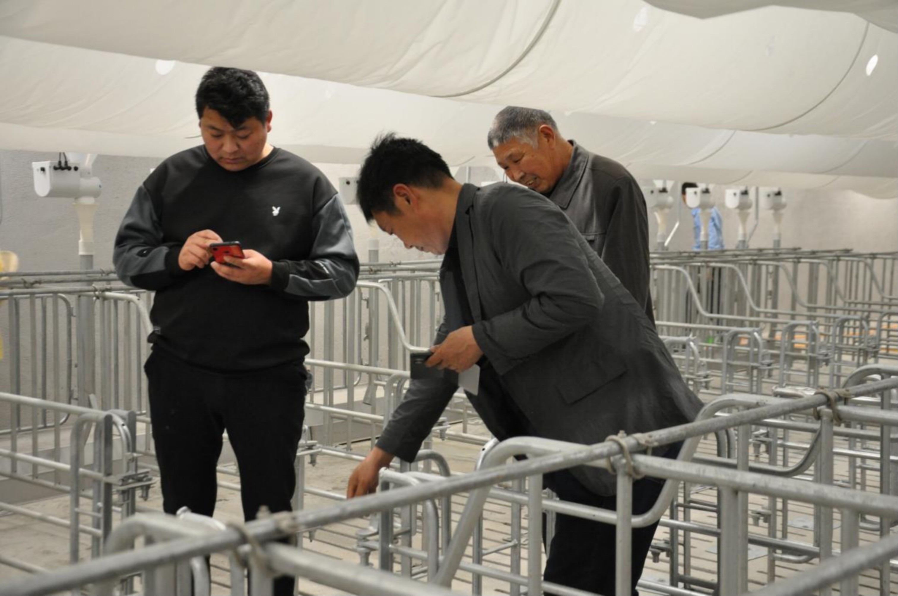 王艷臣等老師為嘉賓介紹豬場(chǎng)4