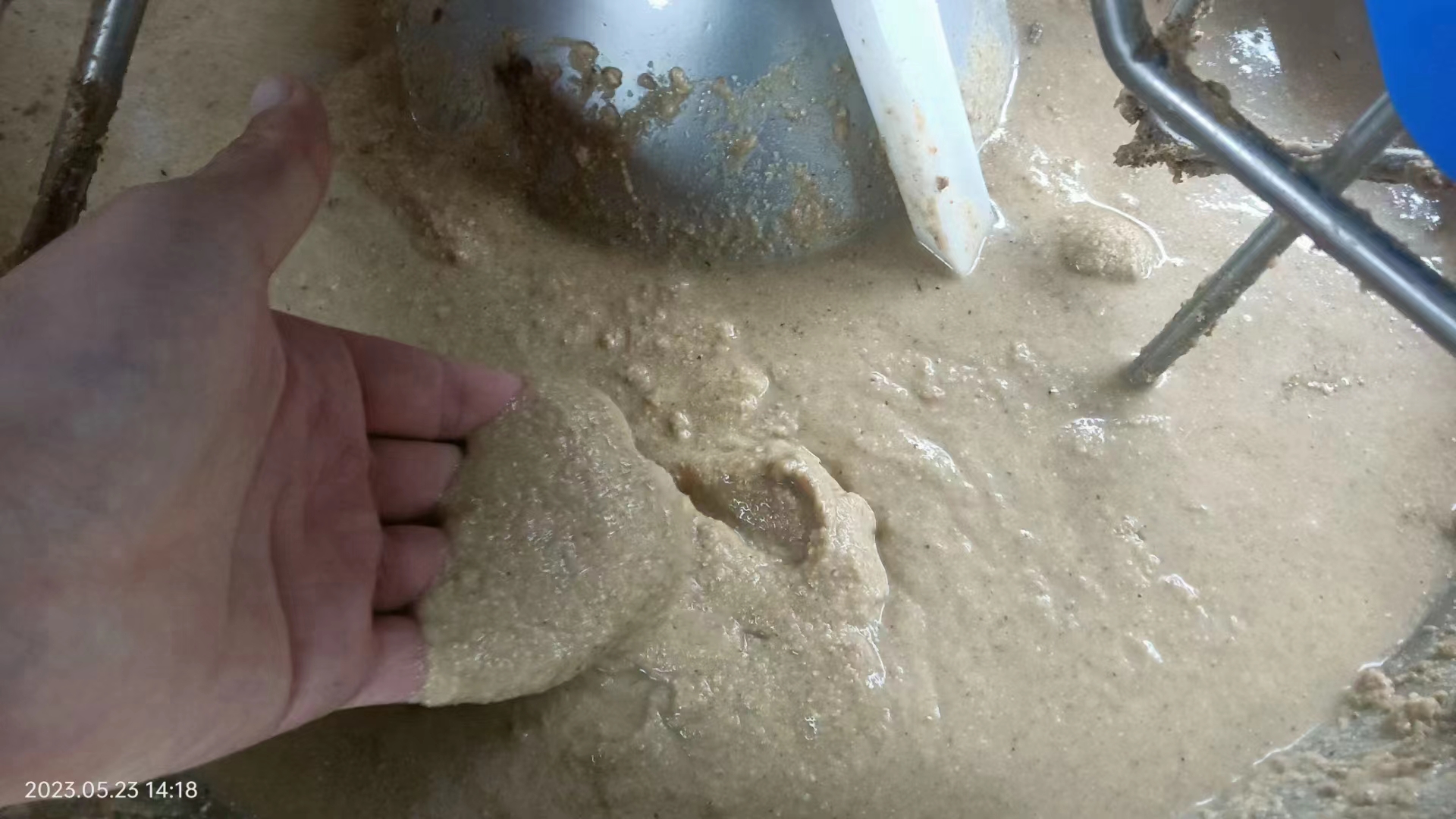 粥料飼喂與液態(tài)飼喂的優(yōu)缺點(diǎn)對(duì)比