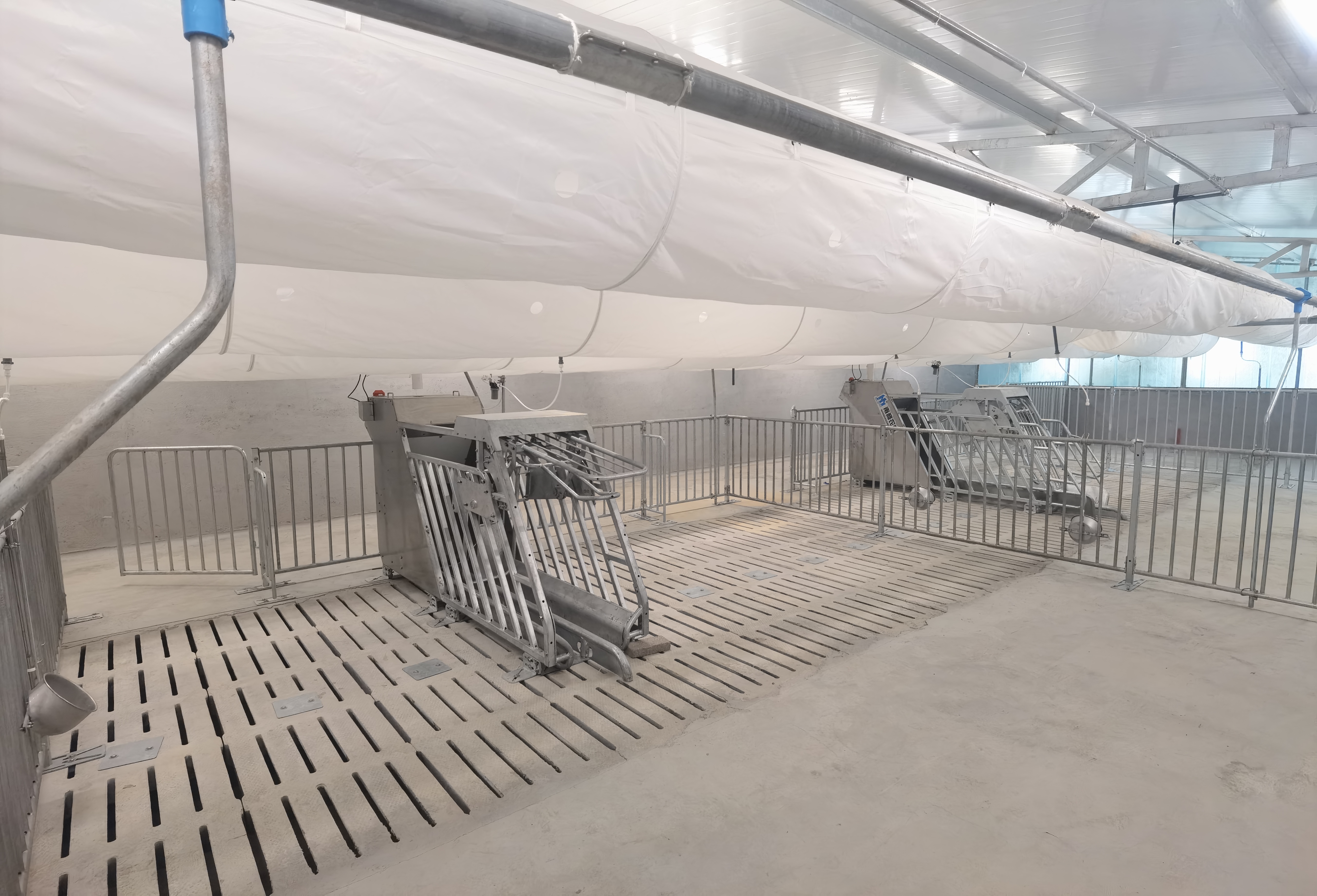 改變養(yǎng)殖方式：母豬小群飼養(yǎng)的優(yōu)勢(shì)