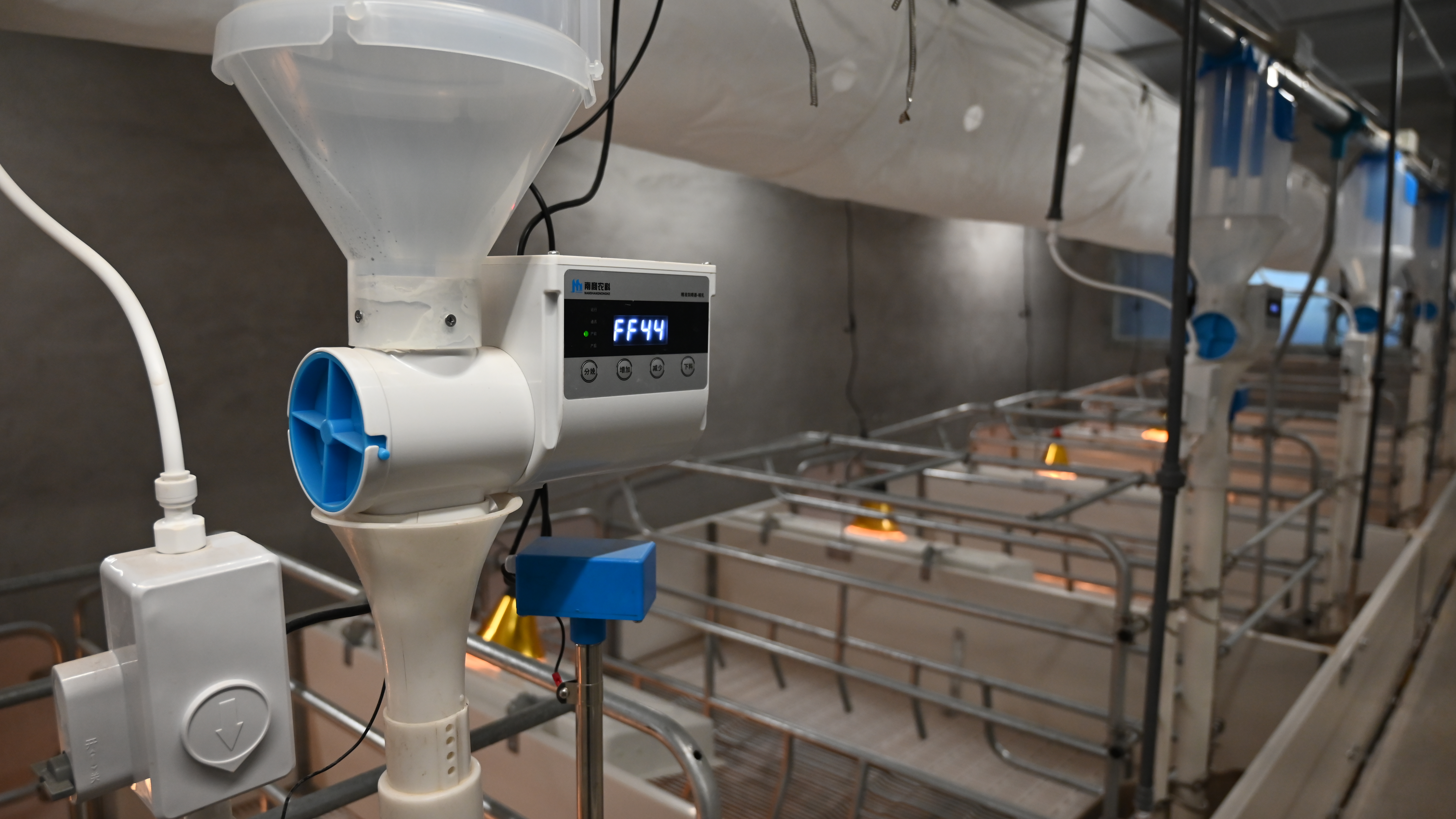 從懷孕到斷奶的全程管理：哺乳期母豬飼喂的注意事項(xiàng)