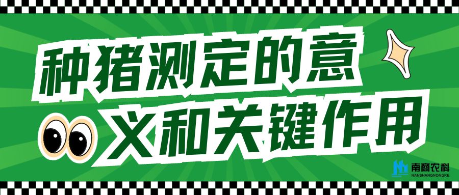 種豬測定的意義和關(guān)鍵作用